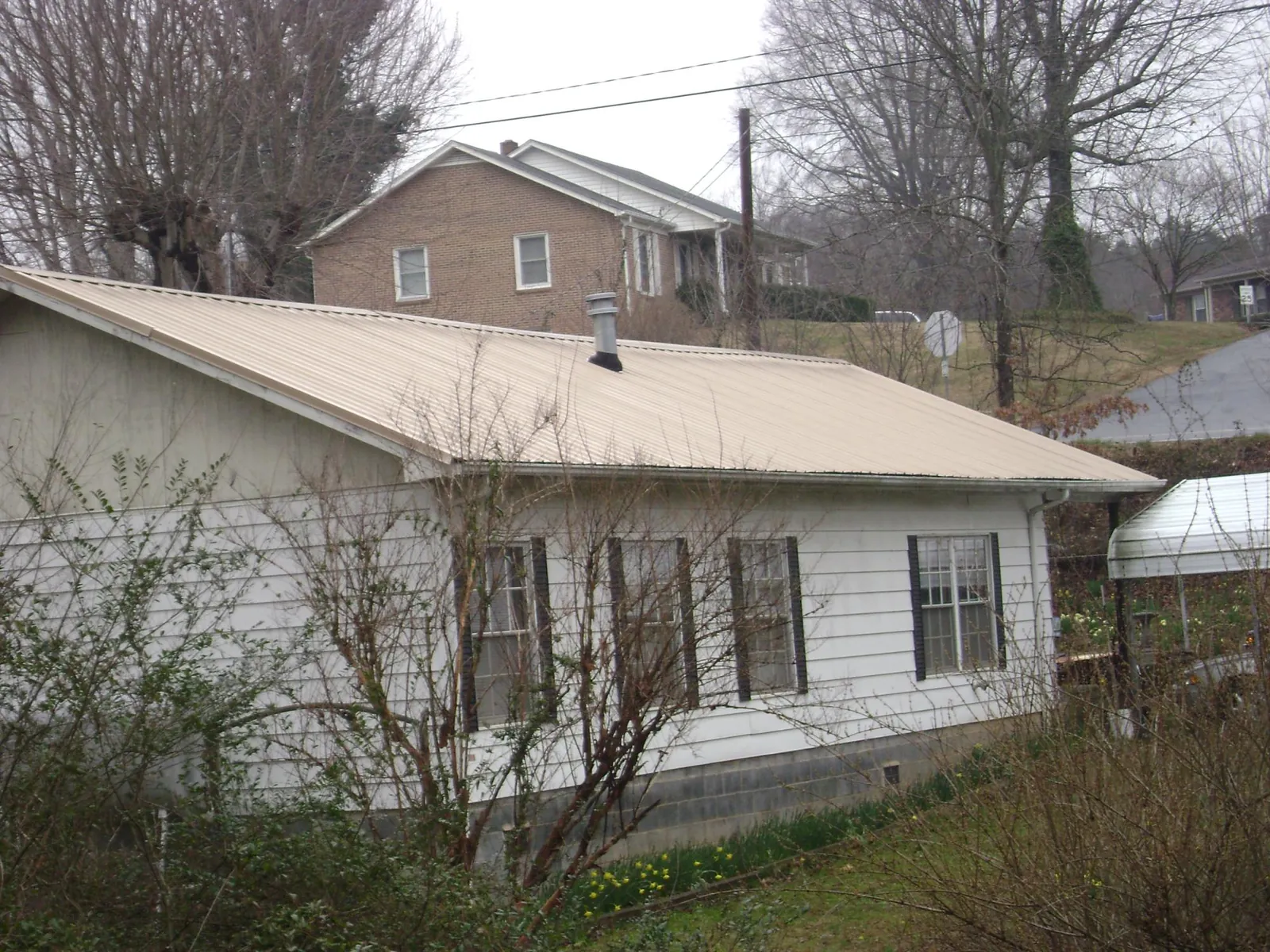Tan metal roof on a white sided house set into a hillside in Daleville